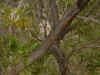 DSC00897.jpg (91215 bytes)