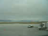 DSC01732.jpg (16107 bytes)